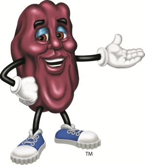 californiaraisinicon1