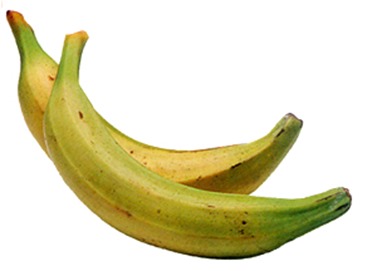 plantains