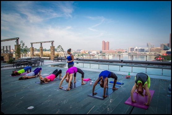 1146456_10151810541190342_301676006_n