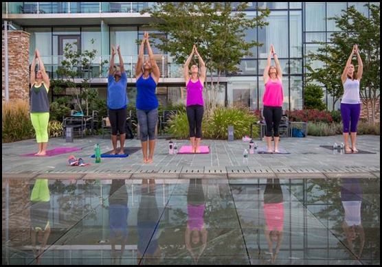 1150174_10151810541785342_302857648_n