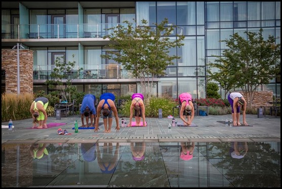 1175409_10151810523795342_2004127811_n