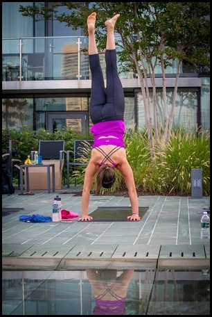 1231661_10151810536685342_919792970_n