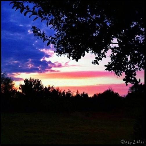 1176255_385552641548179_236266653_n