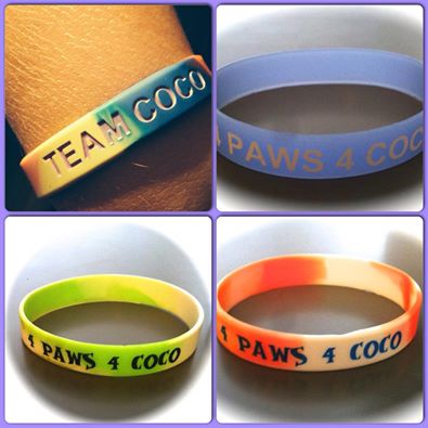 10553491_10152267848584007_8222393293465871377_n