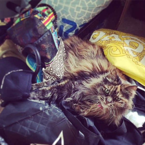 10406584_601468456623262_1091814860929057388_n