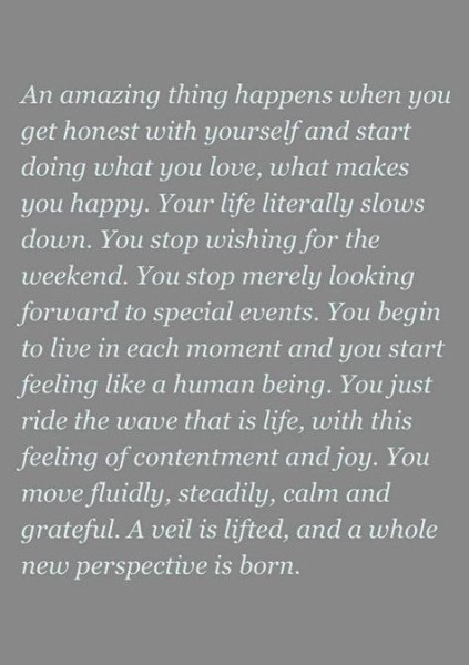 2452f31f38a93c9b0152a809cd6ff748