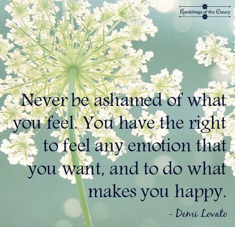 6f354b5a9adb03744de6d10194553643