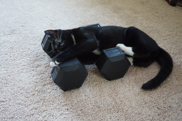 54f3eb75-f165-492b-9a8a-f0884e4fcd24