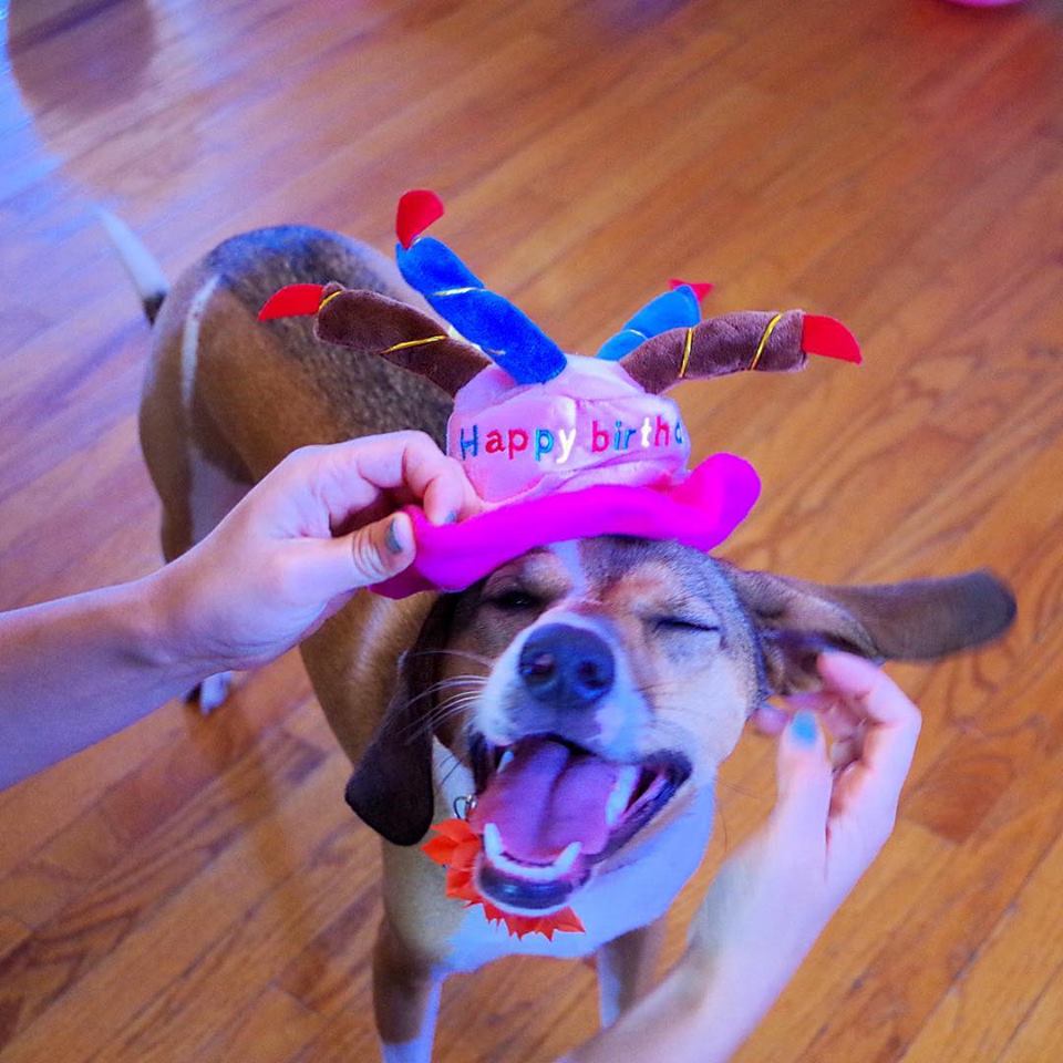 45225032_1470997499670349_3241781786774077440_n