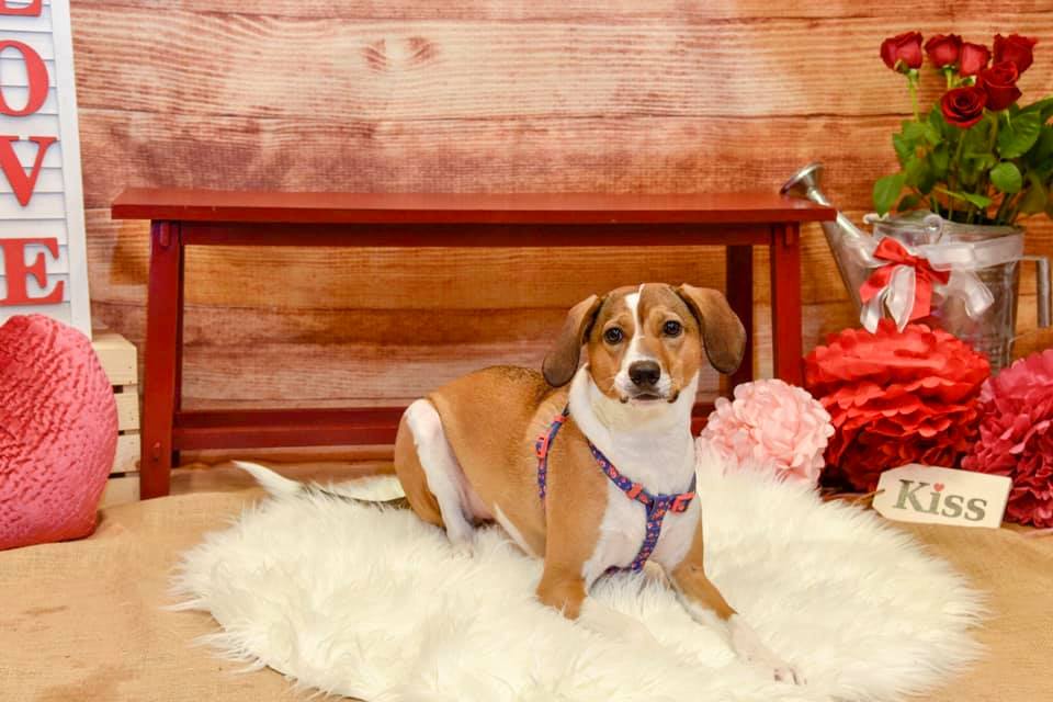 52100100_10156658474990342_342191073948336128_n