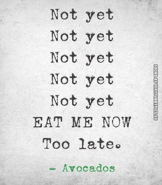 17f0c5df4ed399be21ef9587d31fa1f0