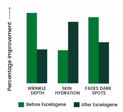 Bonexcin Graph 02