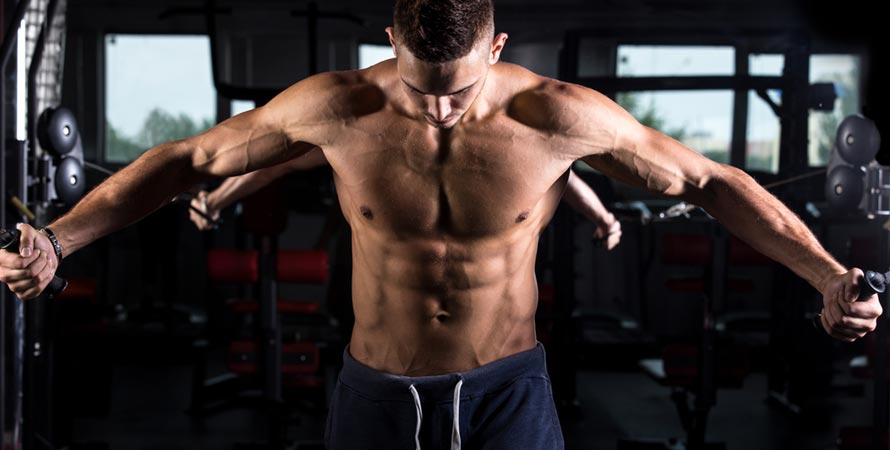 chest exercises