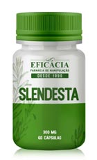 Slendesta