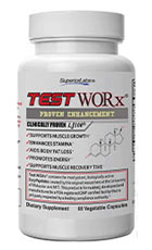 Test Worx