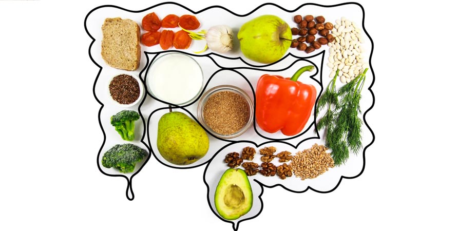 Healthy Gut Diet