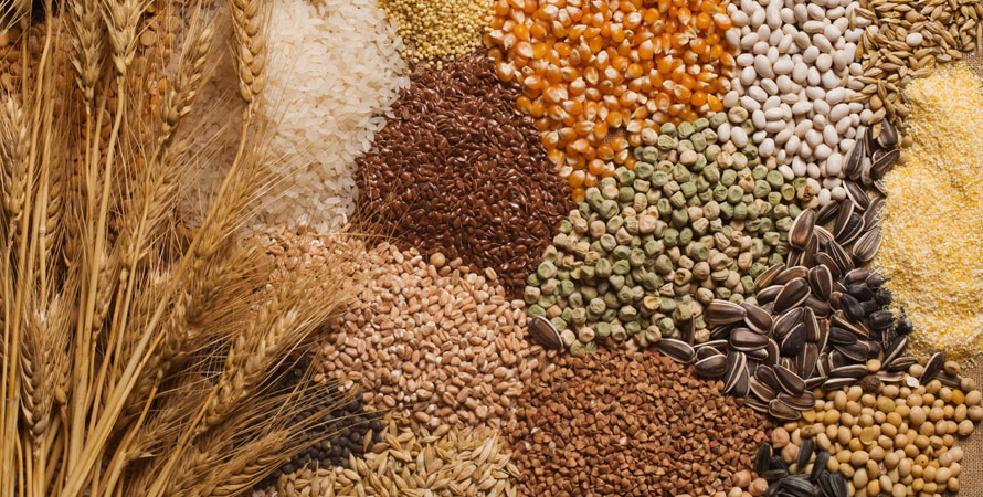 Whole Grains