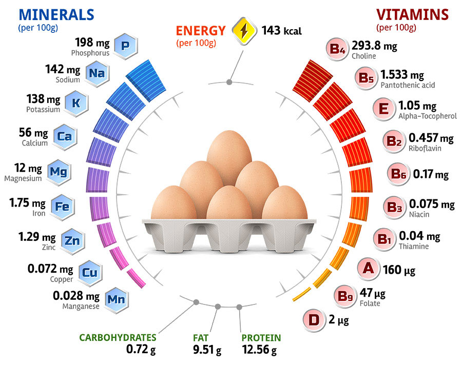 Calories Count