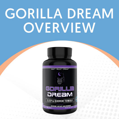 Gorilla Dream