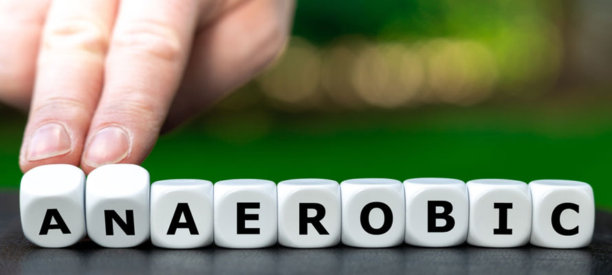 Anaerobic Exercise