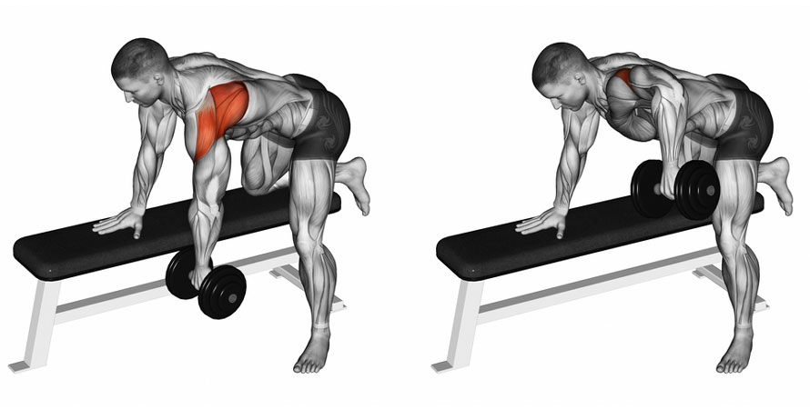 Deltoid Exercises In Your Fitness Program