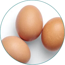 L-Cysteine