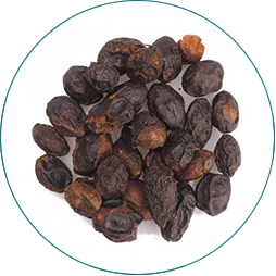 Saw Palmetto