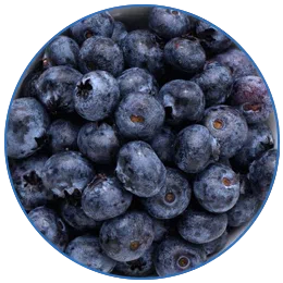 Bilberry Fruit (20% extract)