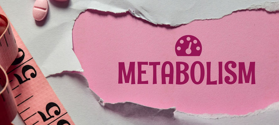 Fast Metabolism Helps Weight Loss