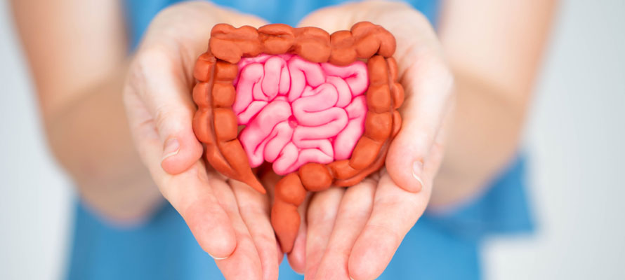 Gut Health