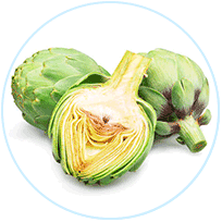 Artichoke Leaf