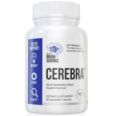 Cerebra