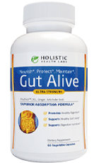 Gut Alive