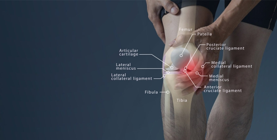 what causes joint pain