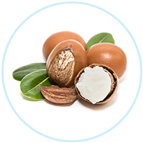 Shea Butter