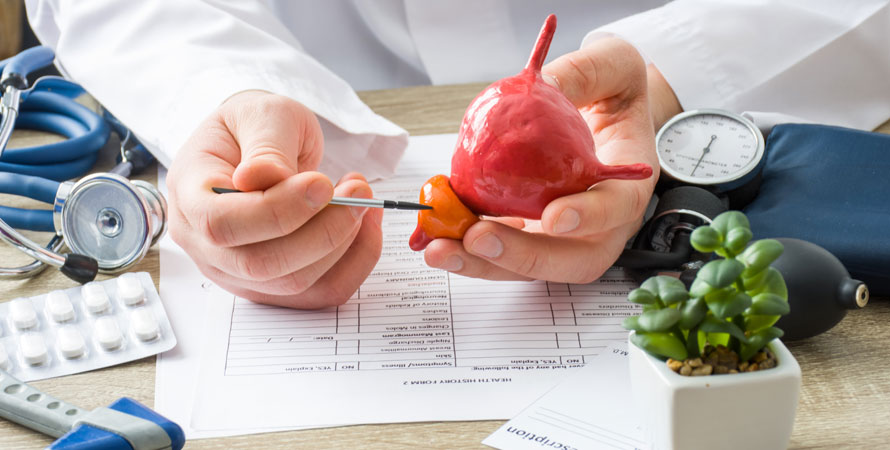 About urinary tract and bladder