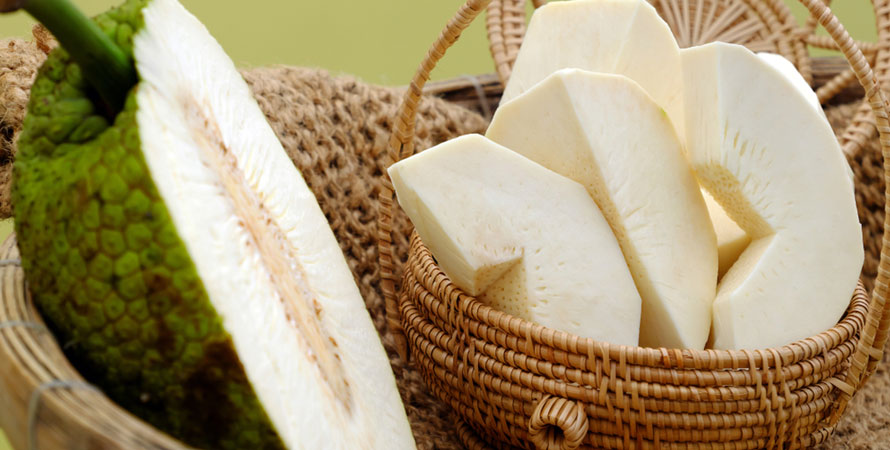 Breadfruit