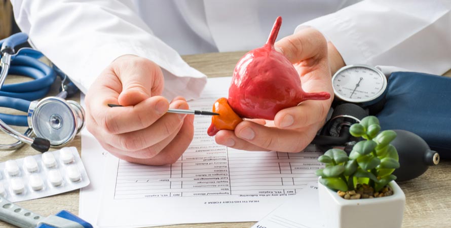 Physician Shows Patient Shape