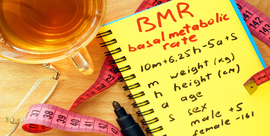 Determining your BMR