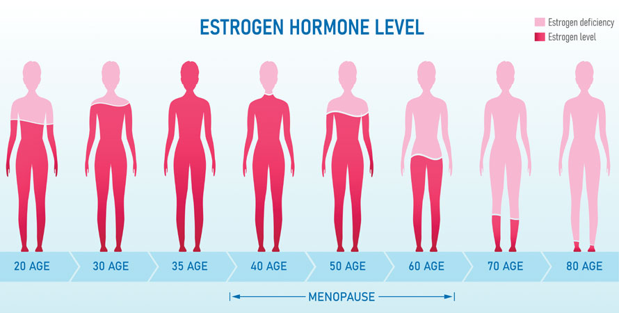 Female Hormones Level