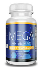 Mega Arise Max