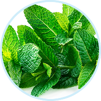 Menthol
