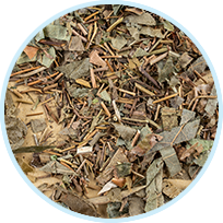 Nettle Root Extract