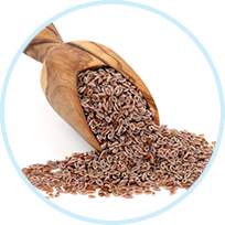 Psyllium Seed