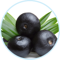 Resveratrol